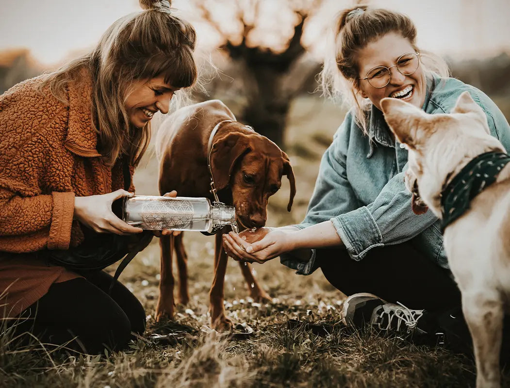 Frauen mit Hund der aus Trinkflasche trinkt