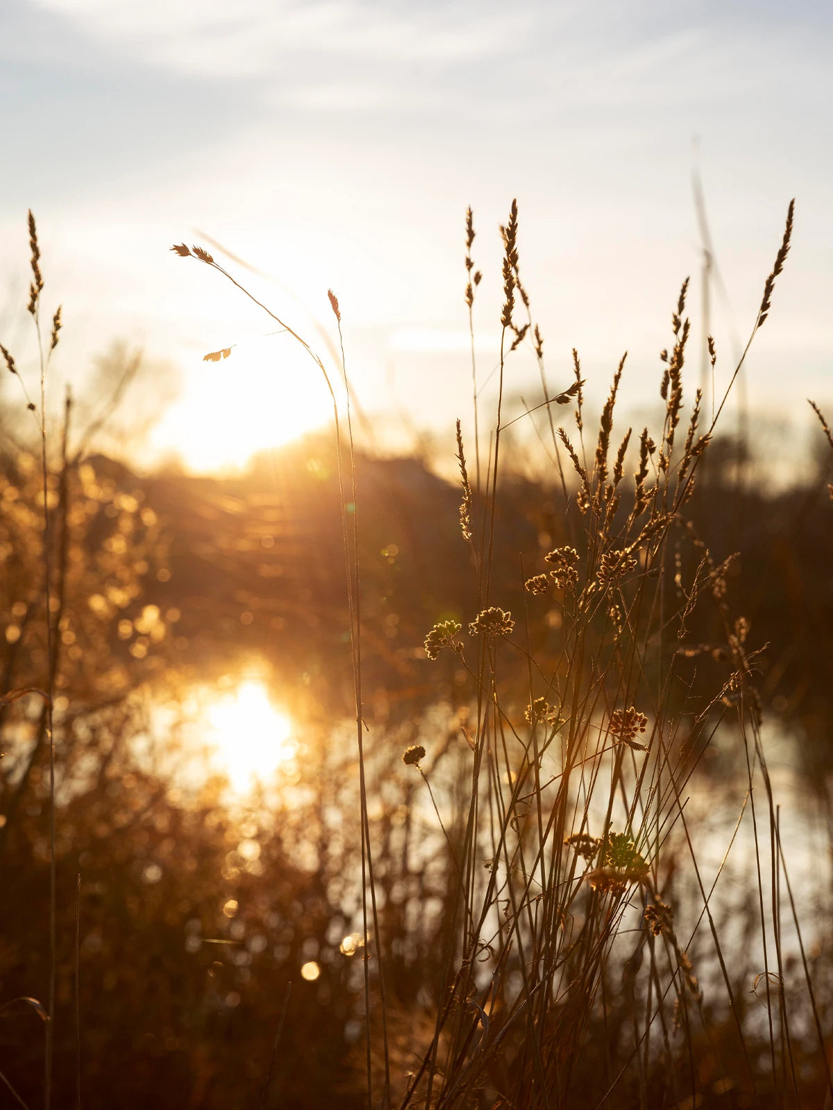 Moodbild Sonnenuntergang