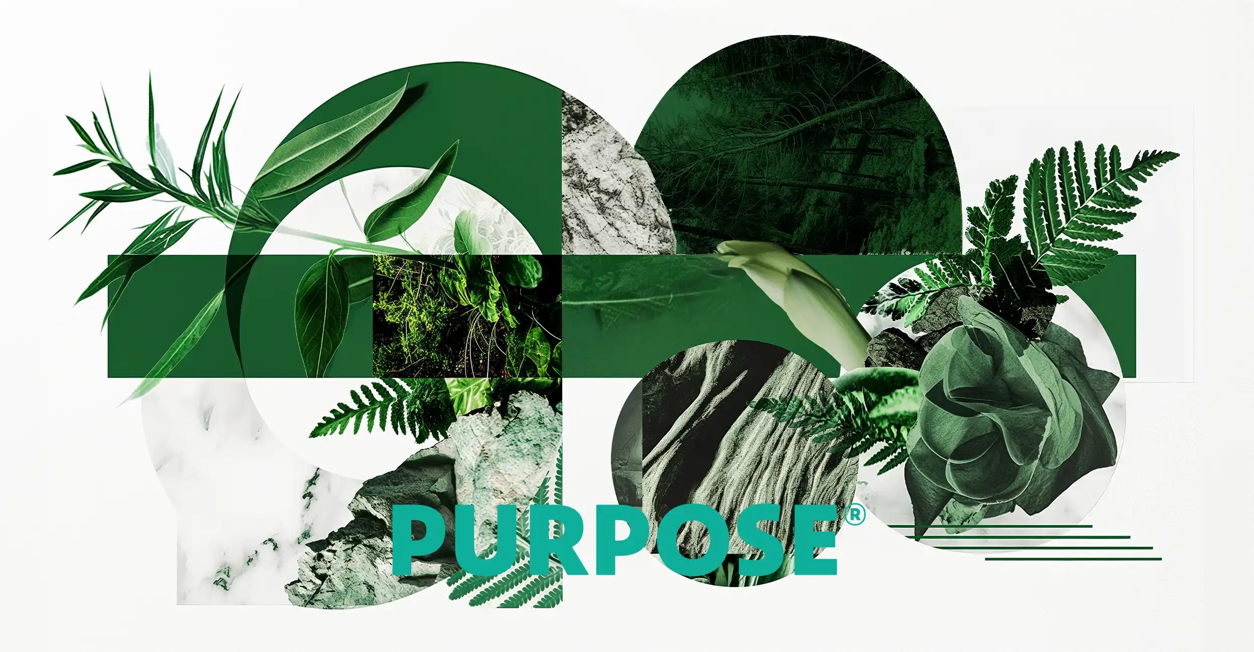 Collage aus Pflanzen und Blättern zum Thema Nachhaltigkeit und Umwelt mit Purpose Logo