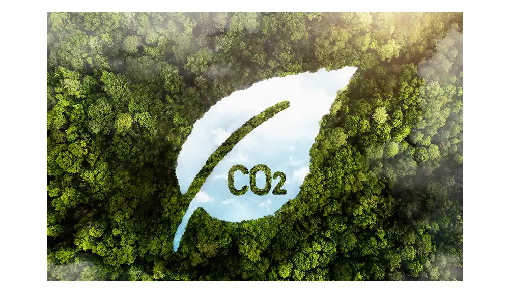 Grafik Natur Umwelt CO2