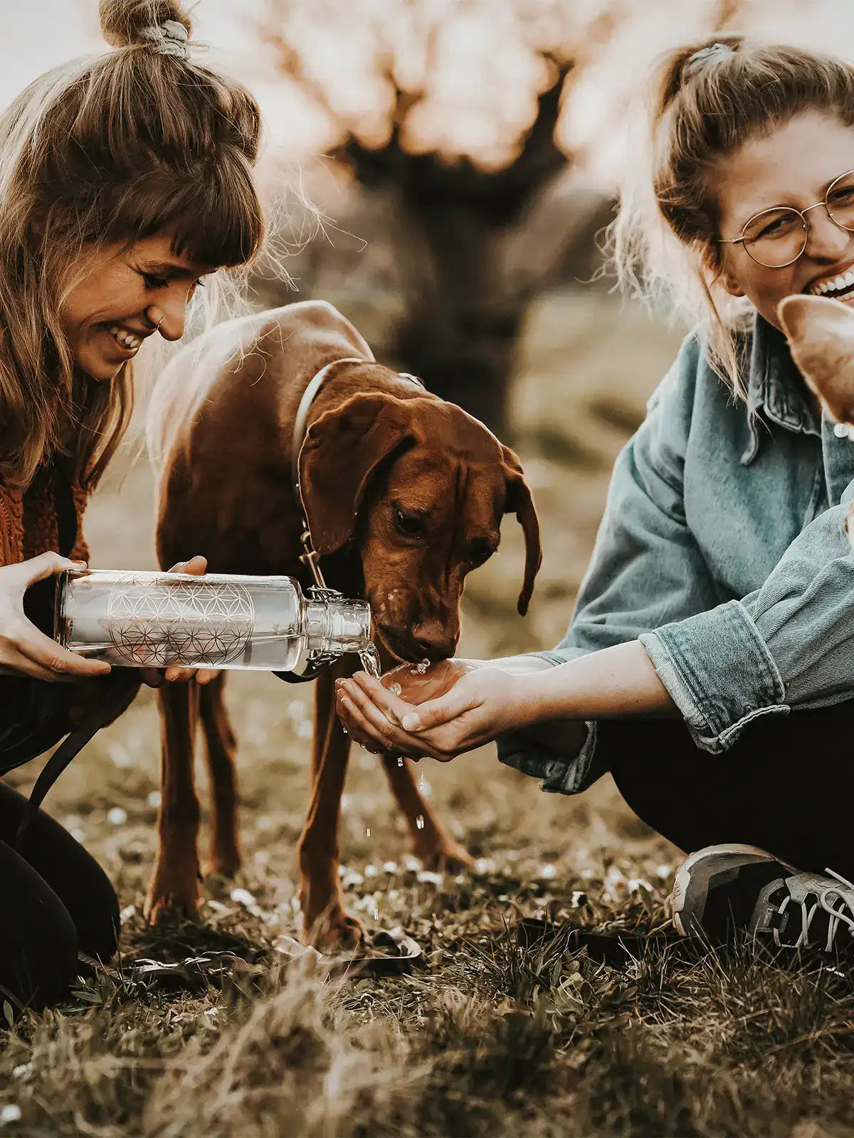 Hund trinkt aus soulbottles Trinkflasche aus Glas